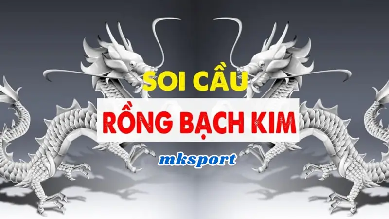 Khám phá soi cầu Rồng Bạch Kim trong cá cược lô đề