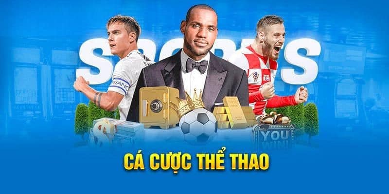 Sân chơi cá cược thể thao Mksport