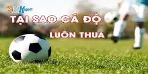 Cá độ bóng đá luôn thua