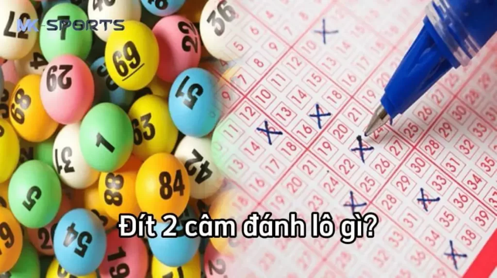 Khái niệm đít 2 câm là gì?