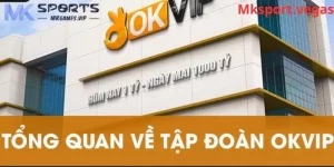 Tập đoàn OKVIP