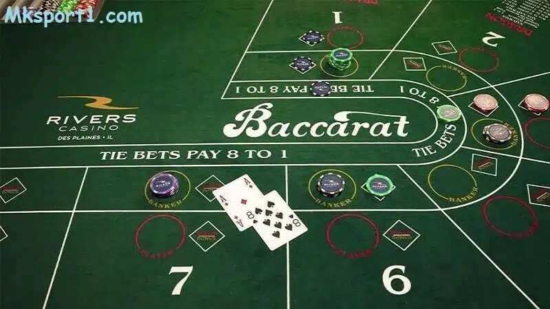 Những lưu ý khi chơi Baccarat không hoa hồng tại Mk sport